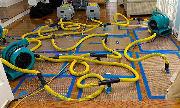 Professional Sewage Cleanup technician working in Valley Center, CA
